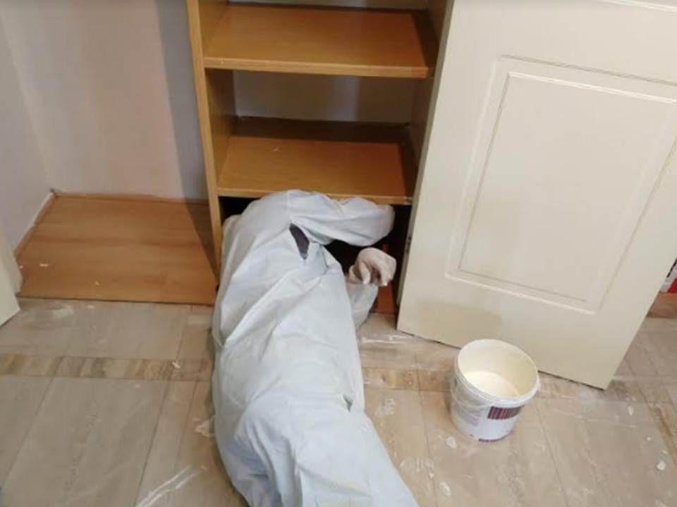 Me Sirve. Servicio de pintura.