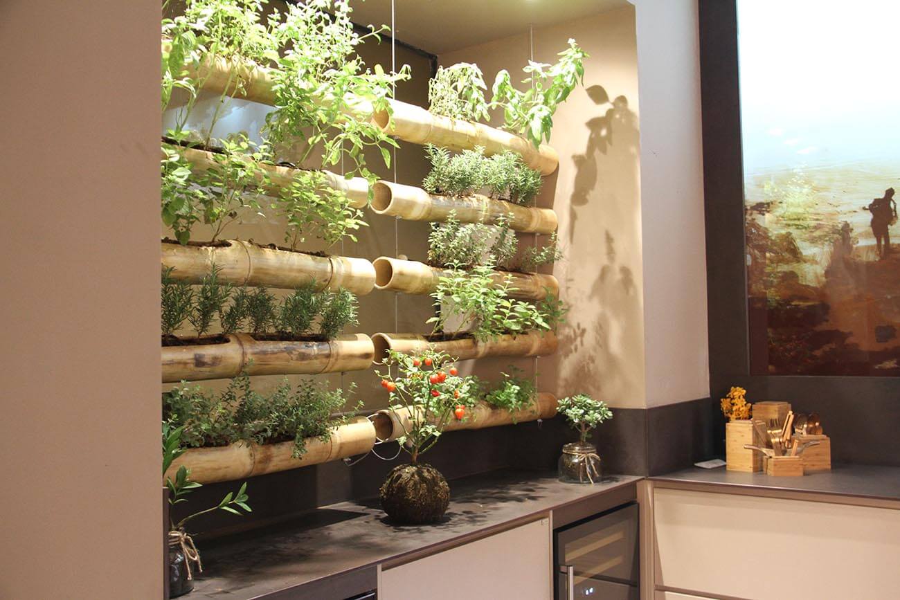 GrunGarten. Plantas en interior.