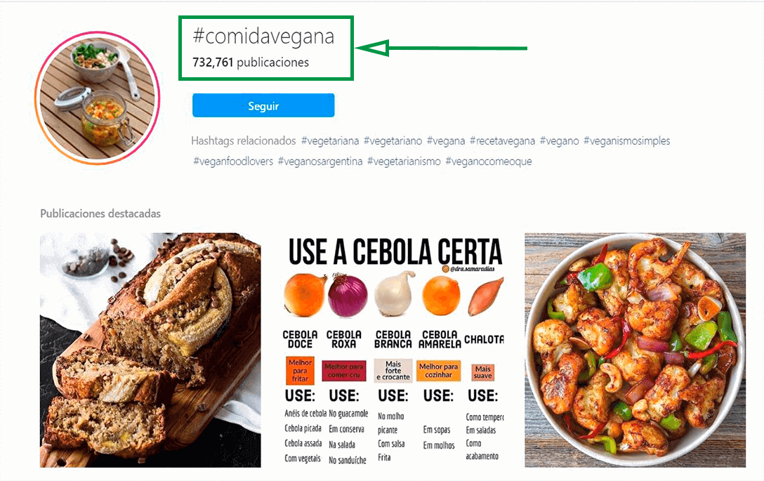 Cómo ganar seguidores en Instagram. Ejemplo de búsqueda de hashtags
