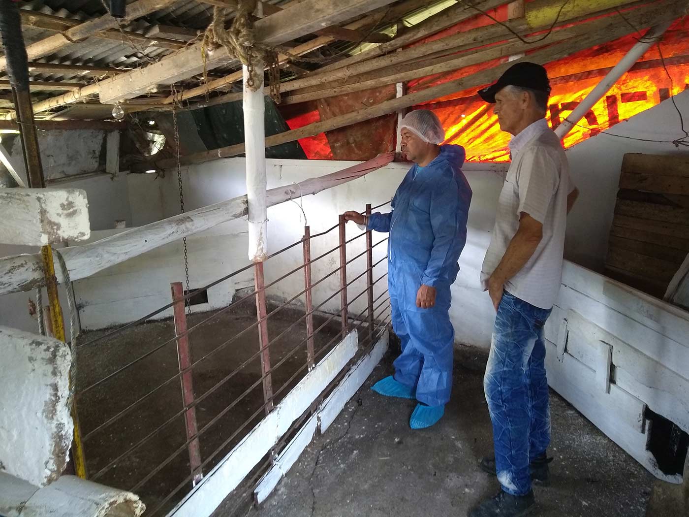 Julián Manzano. Supervisando