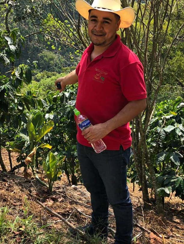 Café Mi Tazita. Lorving en la finca