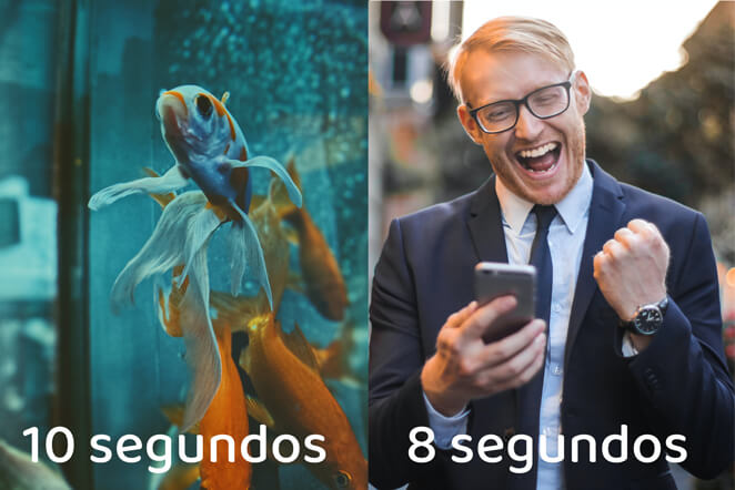 crear blog atencion visitantes
