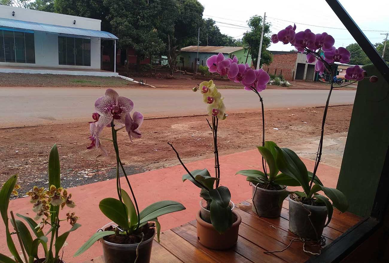 ECOPRINT. FLORES SUELTAS
