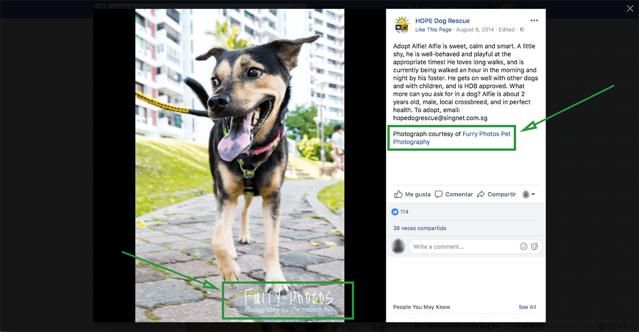 8-marketing-for-photographers-example-collaboration-facebook