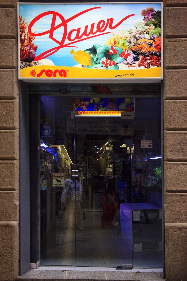 marketing-tienda-animales-dauer