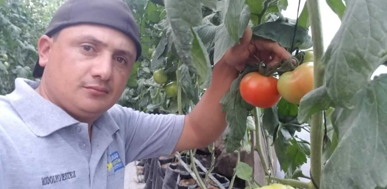 Plan de Digitalización Honduras. El Coyol.