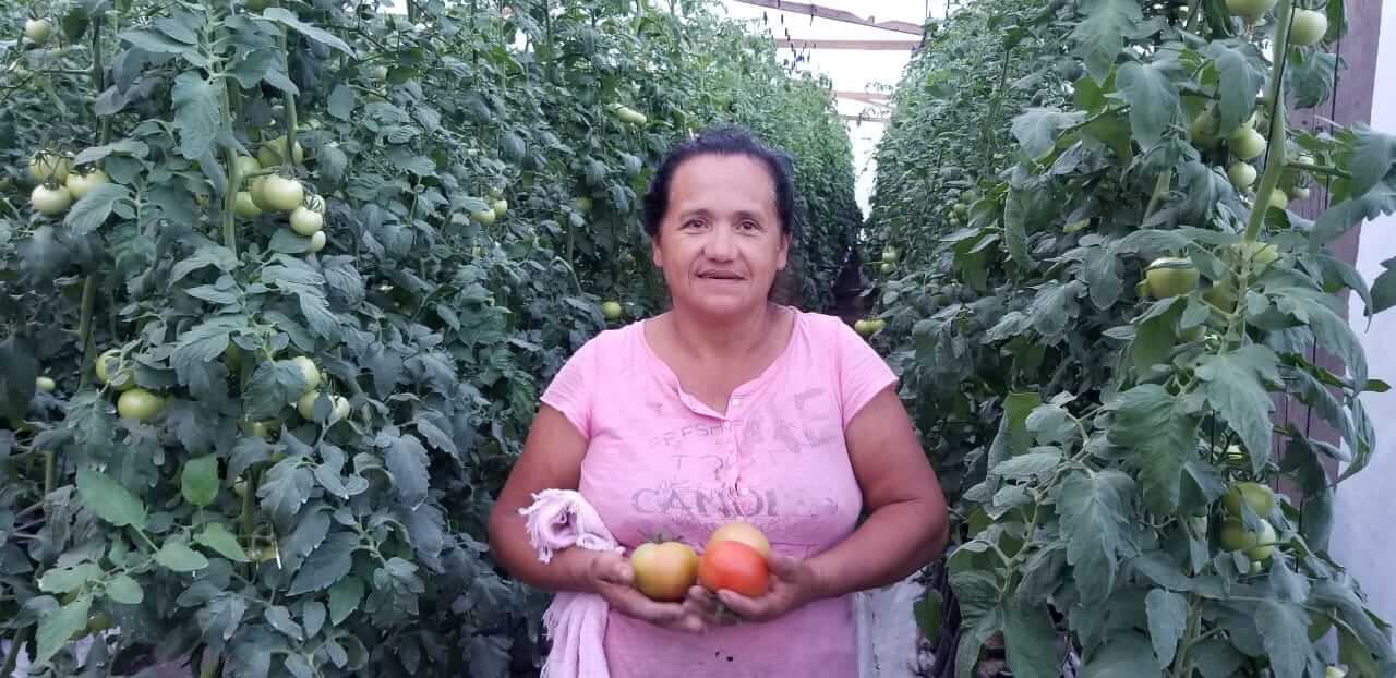 Plan de Digitalización Honduras. Chiles El Coyol.