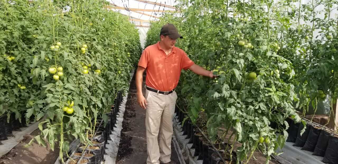Plan de Digitalización Honduras. El Coyol, plantaciones.