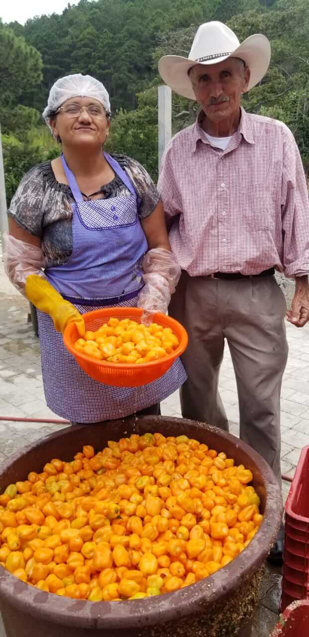 Plan de Digitalización Honduras. El Coyol, chiles.